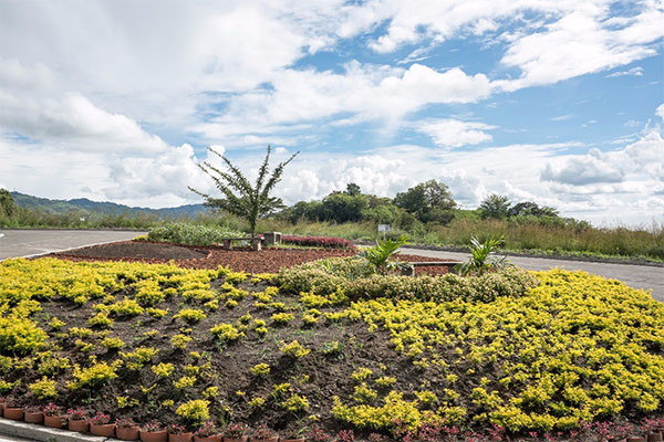 Colinas del Campestre