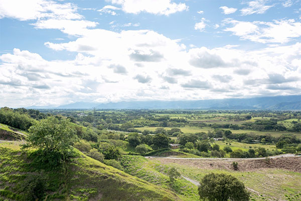 Colinas del Campestre