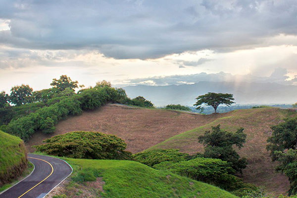 Colinas del Campestre